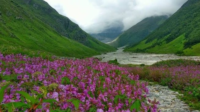 The Valley of Flowers-Uttarakhand