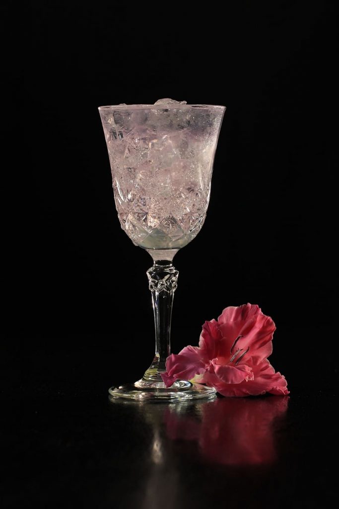 gin-tonic cocktail gin alcohol bebida espirituosa Celebrando el Día Mundial del Gin 2023: Llénese de GINspiration y explore el encanto del Gin