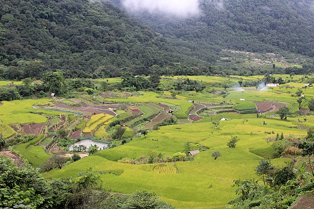 Agricultural fields in Khonoma, Nagaland Image Courtesy Girish Mohan via Wikipedia Commons