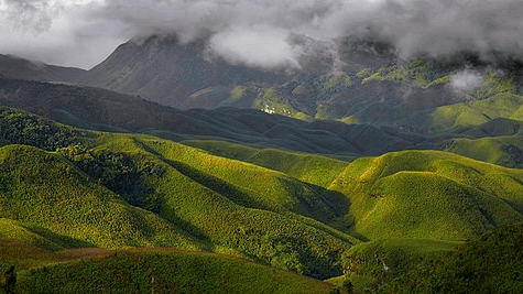 Valle de Dzukou Nagalandia
