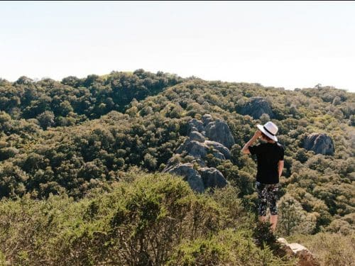 Explore Mt. Diablo in San Francisco Bay 