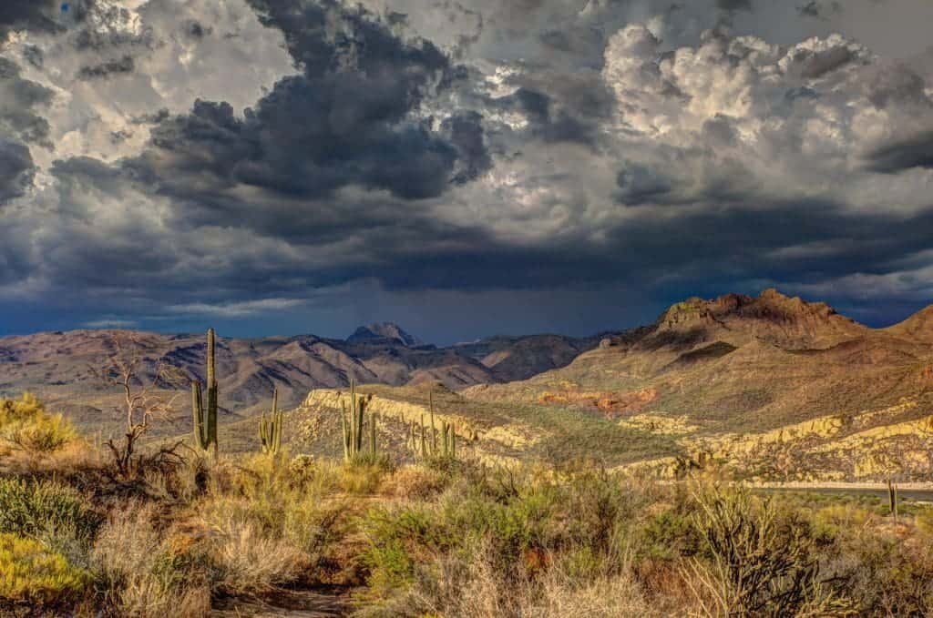 Arizona