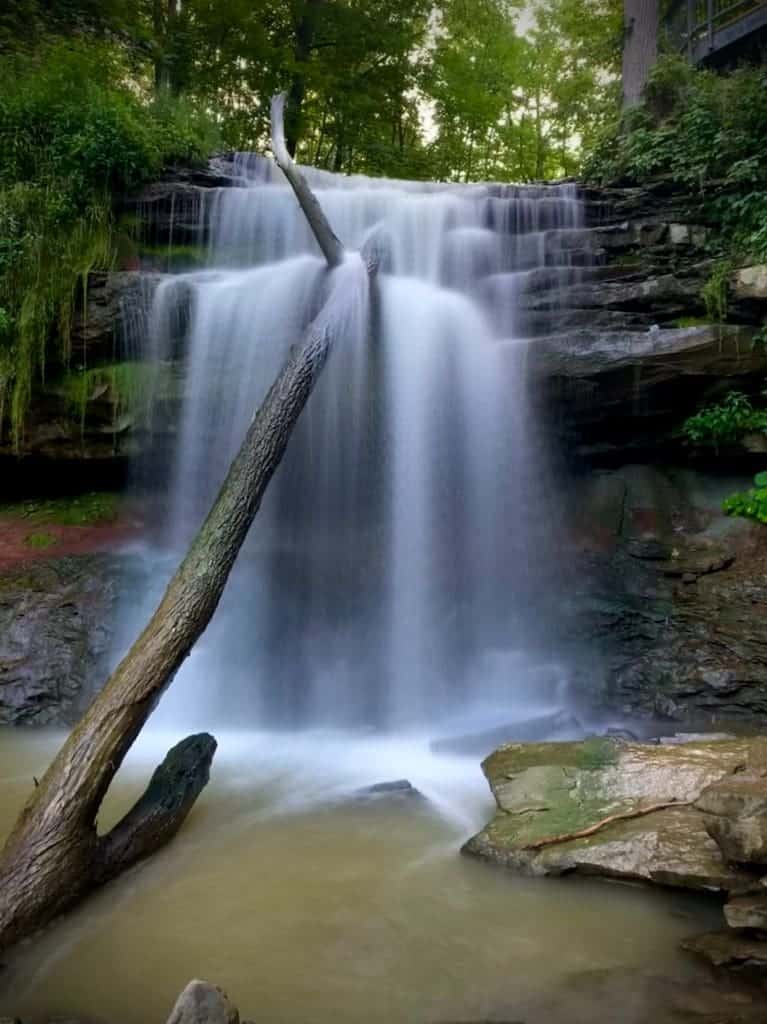 Bruce Trail