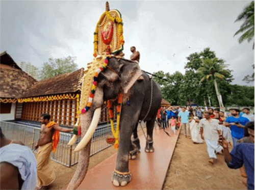 Onam Festival: A rich 10-day tapestry of Culture, Legend, and Celebration in Kerala 2 Onam festival. Pulikali (Tiger Dance)