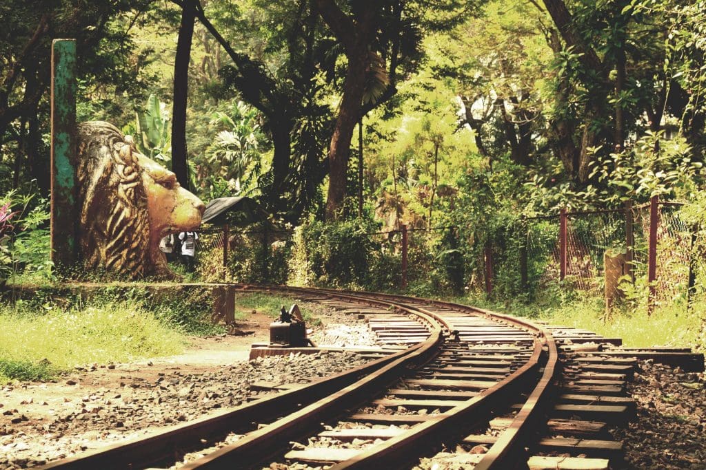 Mumbai's secret charms: Toy Train Track, Sanjay Gandhi National Park 
Image Credit: Niteen