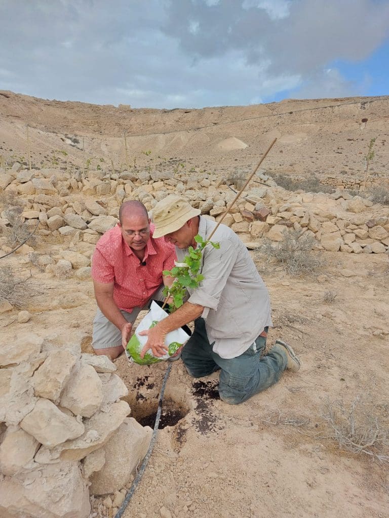 Ancient Grape Varieties Revived in the Israeli Negev Desert Image Credit: Negev Tourism Danna Avidan