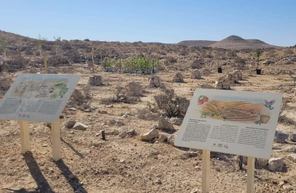 Ancient Grape Varieties Revived Image Credits: Israel Nature and Parks Authority INPA