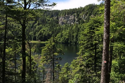 The Black Forest, in southwestern Germany, is known for its picturesque forest and lakes and is famous for Sustainable Tourism. Image courtesy: Ramon Boersbroek via Flickr