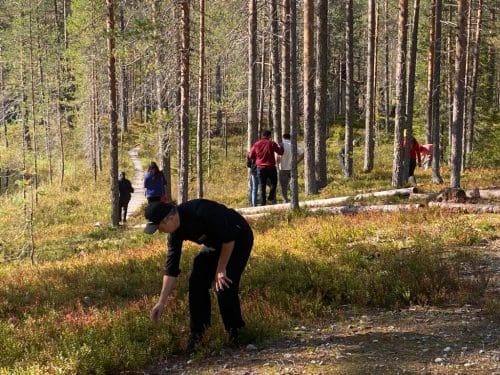 Oulu Berry Picking in iso