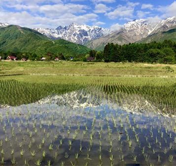 Japan Hakuba Village