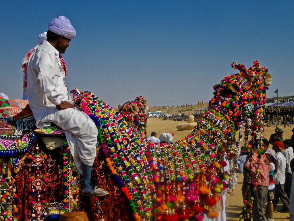 Jaisalmer Festival del Camello Festivales y Ferias de febrero