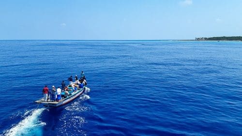 Blue Boat in the Lakshadweep sea.  Image credit Shagil Kannur via Wikipedia Commons