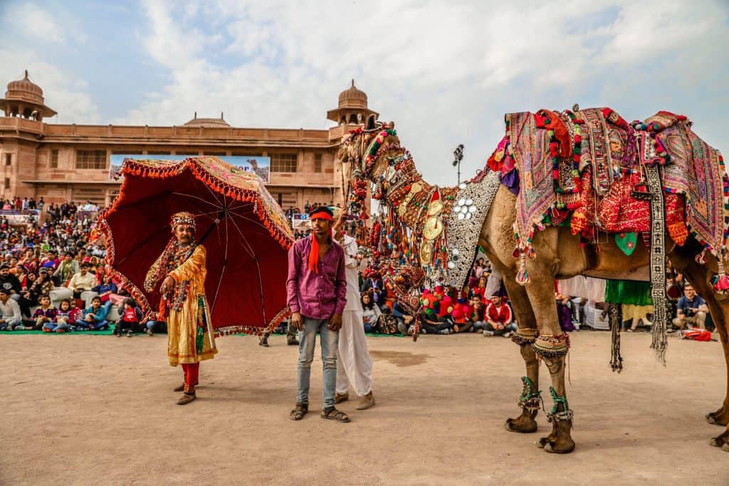 Bikaner Camel Festival January Festival