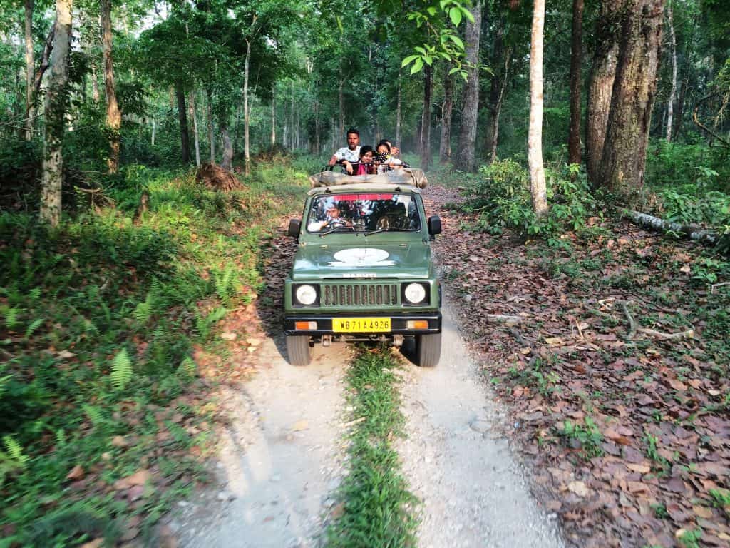 Gorumara National Park