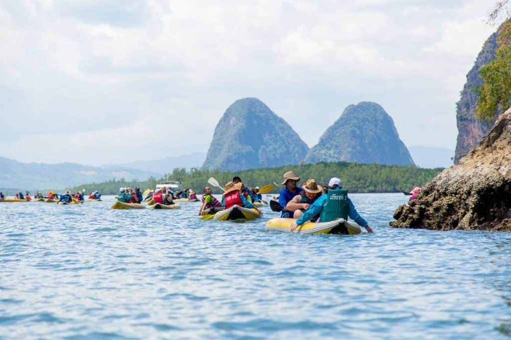 Mangrove Kayakingin Andaman