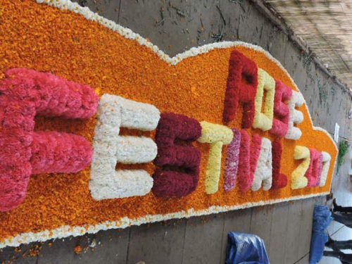 Festival de las rosas