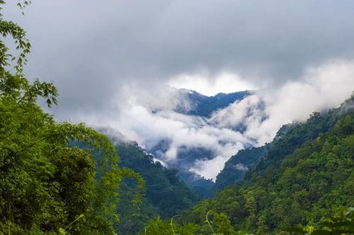 Dense jungles of Arunachal Pradesh (Travel Trends 2024)