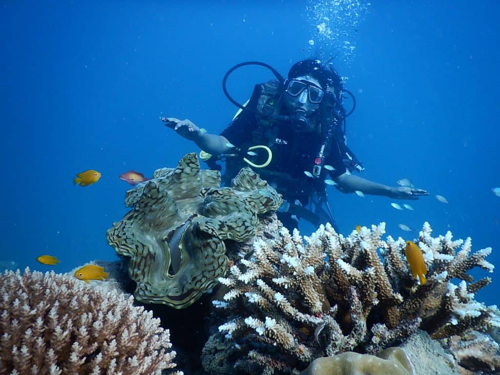 Scuba diving at Puducherry