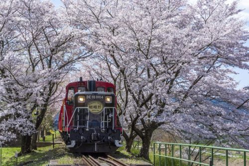 The Sagano Romantic Train, Japan