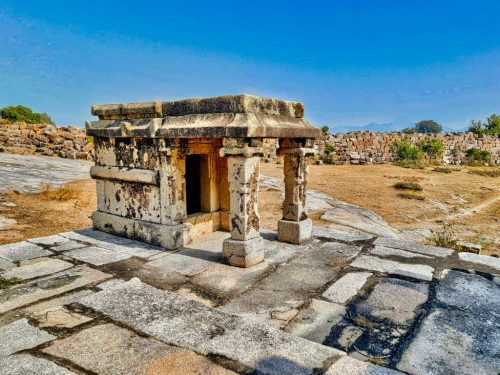 Shiva-Yogini Temples of Vyas Bhadora