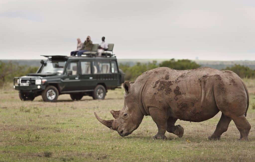 Red Dot Representation wins Mandate for Kenya’s Luxury DMC Wild Whispers 1 Red Dot Representation wins Mandate for Kenya’s Luxury DMC Wild Whispers
