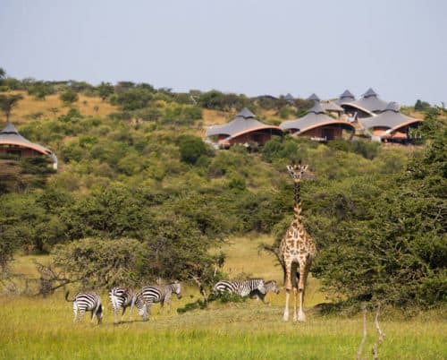 Mahali Mzuri, Kenya - Eco Luxe Escapes