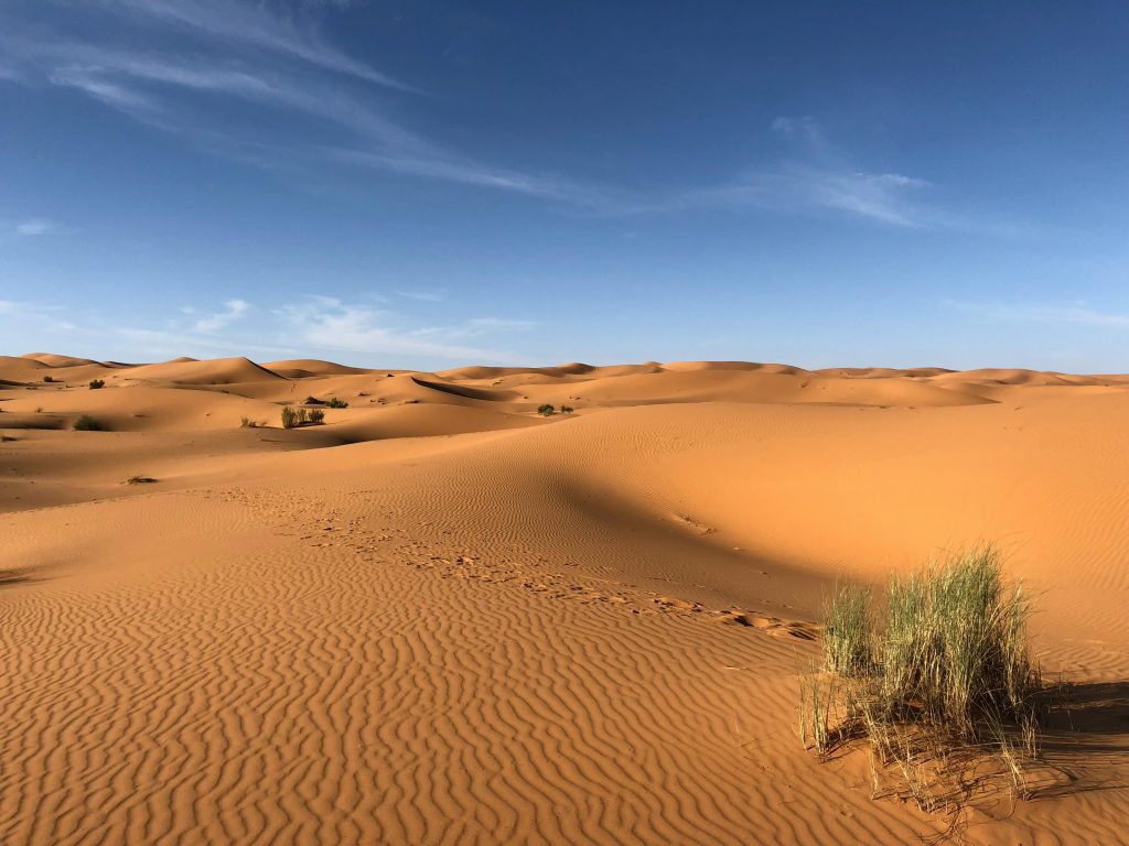 Sahara Desert, Unveiling the Magic of Desert Adventures