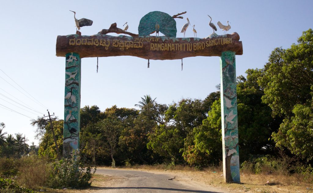 Ranganathittu Bird Sanctuary, Karnataka