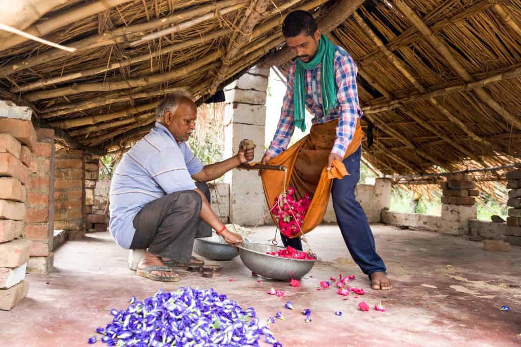 Fragrances of heritage