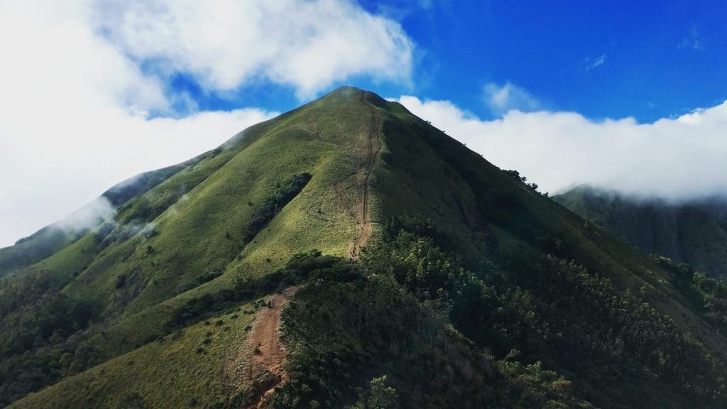 Meesapulimala Trek, Kerala (Trekking Trails of the Western Ghats of South India)