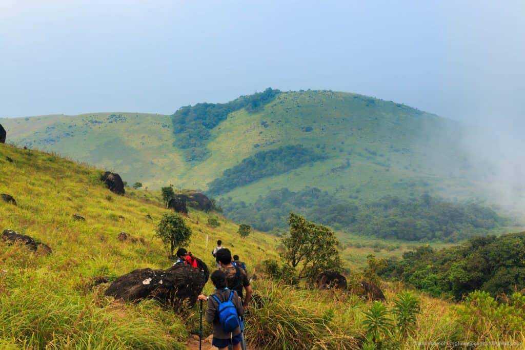 Tadiandamol Trek, Coorg, Karnataka (Trekking Trails of the Western Ghats of South India)