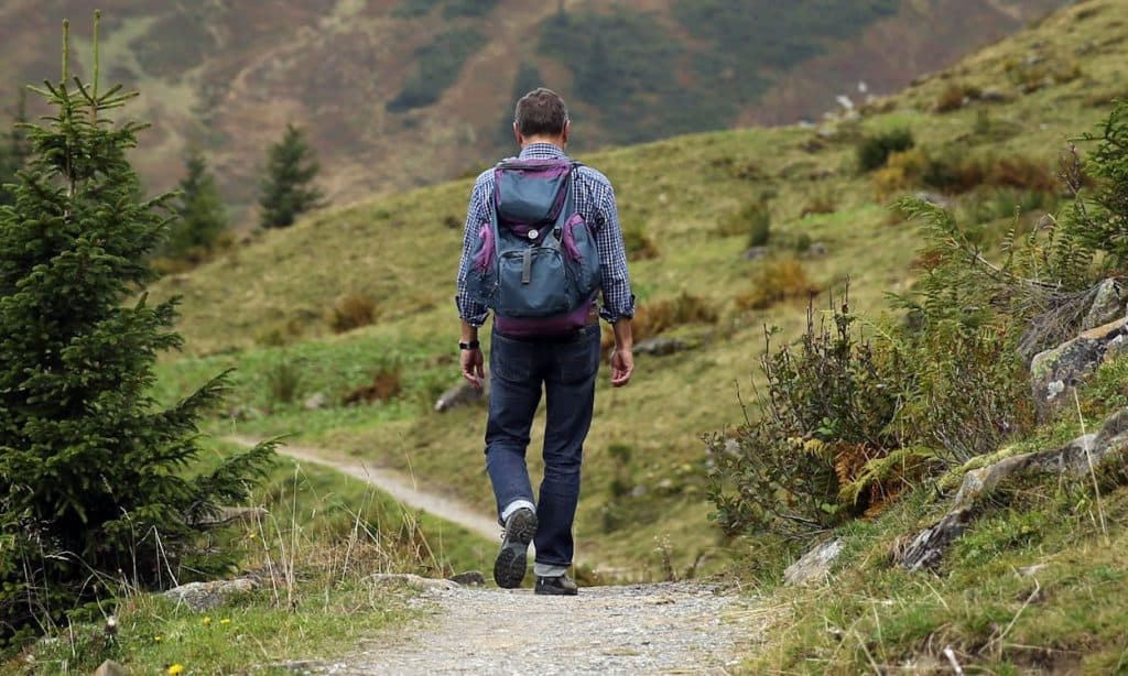 Trekking Trails of the Western Ghats of South India