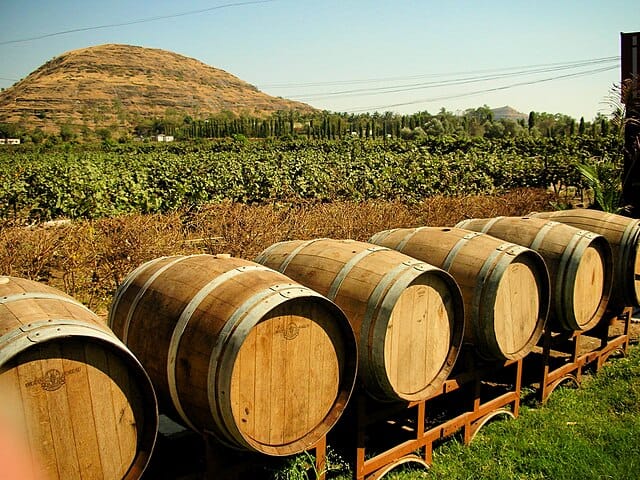 Scenic view of a must-visit vineyards where guests sip and savour fine wines amidst rolling hills and luxury settings. Courtesy: Wikimedia