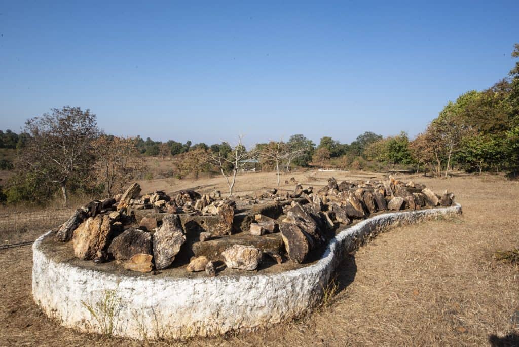 Spectacular Ghughua Fossil National Park: Prehistoric Flora going back 65 million years ago 3 Ghughua Fossil National Park Courtesy: Tanveer
