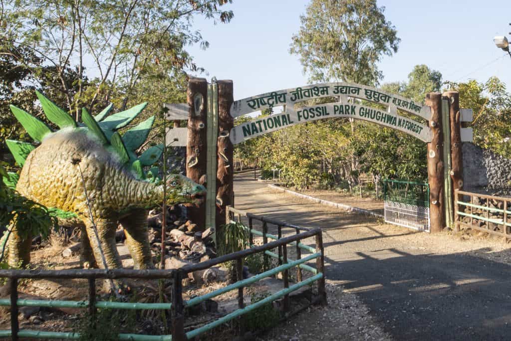 Spectacular Ghughua Fossil National Park: Prehistoric Flora going back 65 million years ago 1 Ghughua Fossil National Park Courtesy: Tanveer