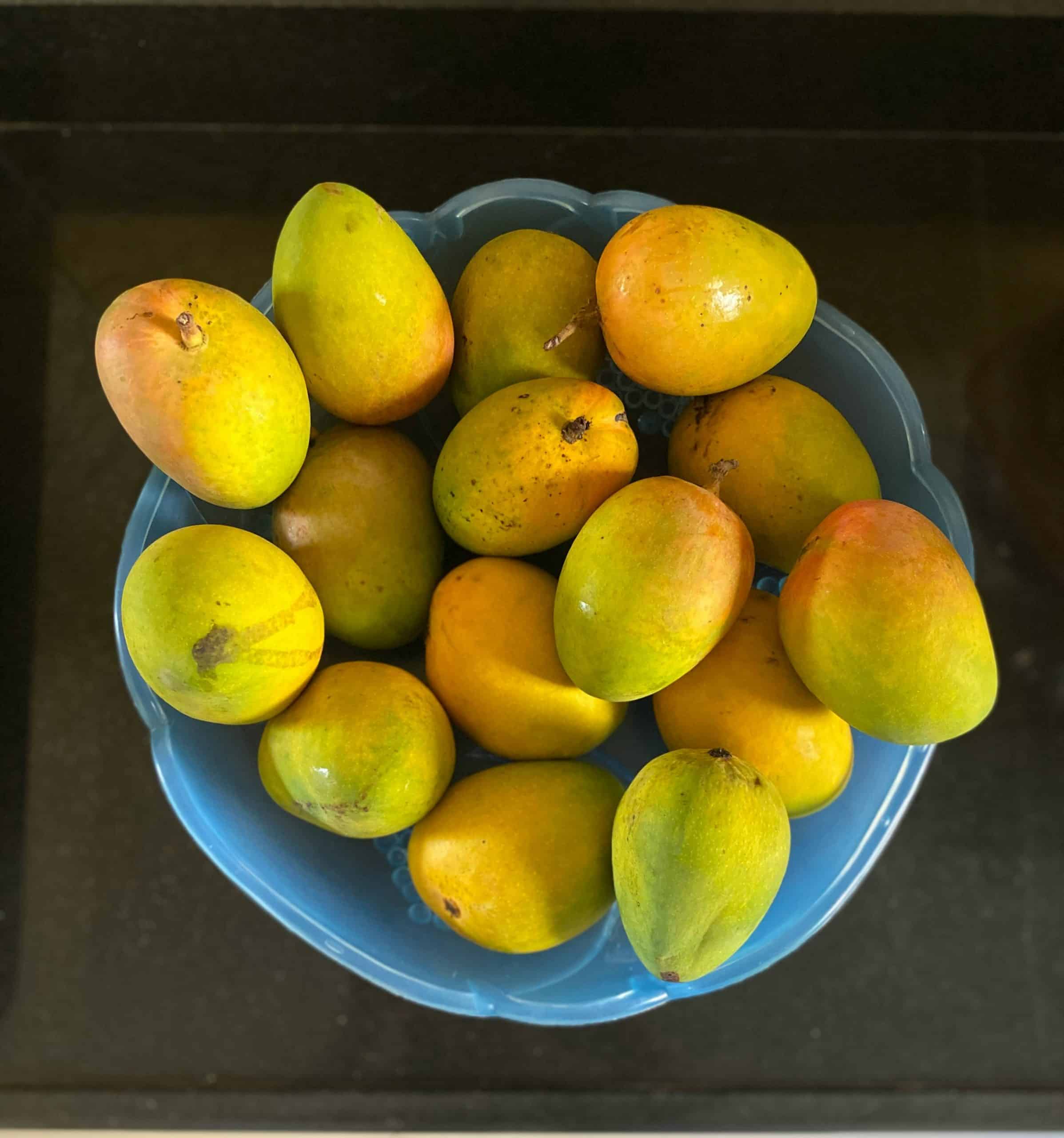 Discover the Joy of Mango Season Across India in 2025 7 India is home to over 1,000 varieties of Mango. Image courtesy: Priyanka D Mango Season