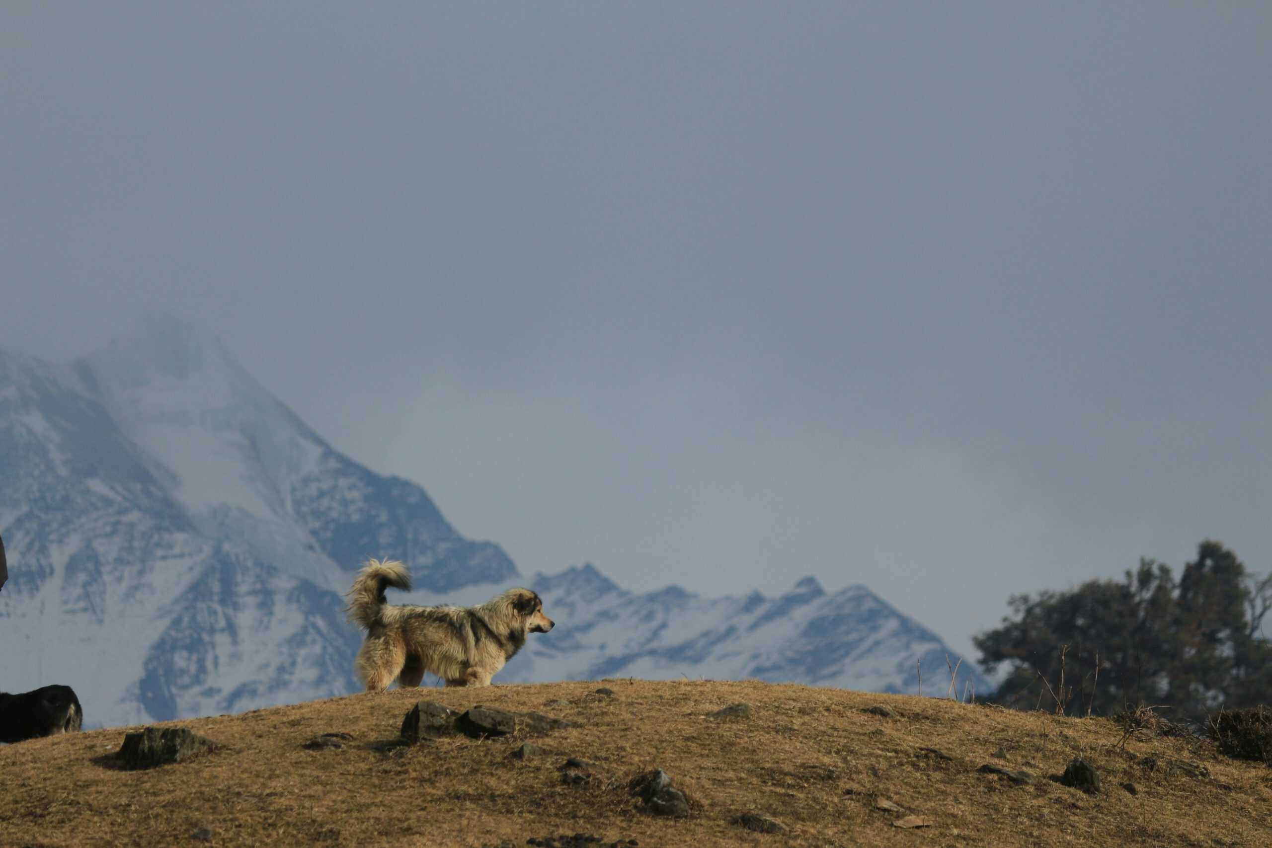 Sacred Journeys 2025: Spiritual Travel for the Curious Soul in India 1 Each trek offers a different encounter with the sacred. (Image courtesy: Saiteja Verma) sacred journey