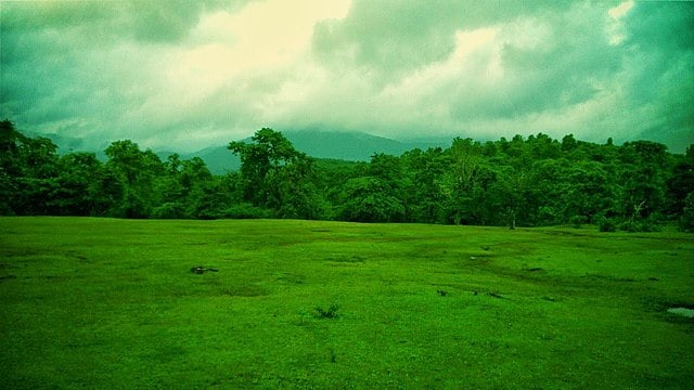 For a true taste of Goa’s wild side, the Cotigao Wildlife Sanctuary hike is an adventure not to be missed. Image courtesy: Vikram2784 via Wikkimedia commons