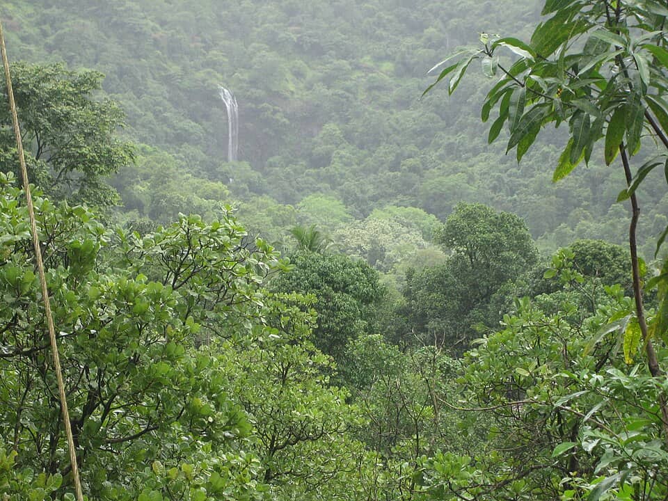 Kuskem waterfalls near the Cotigao Wildlife Sanctuary Image courtesy Creative Common Licenses via Wikimedia Commons