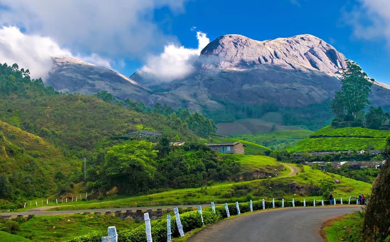 蒙纳尔（Munnar）拥有茶园，薄雾山和野生动植物，在寻求和平又身临其境的度假胜地中，它成为最喜欢的人