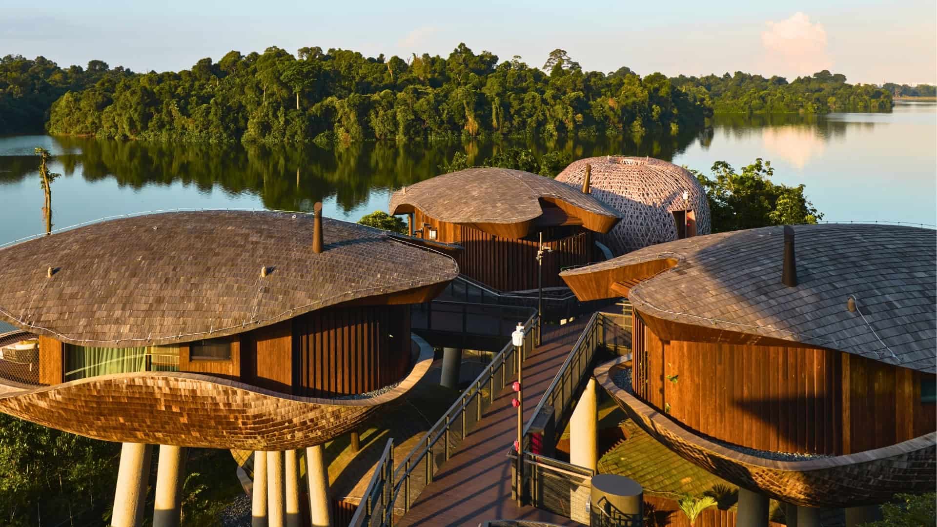Grand Opening of Mandai Rainforest Resort by Banyan  Tree and Rainforest Festival 