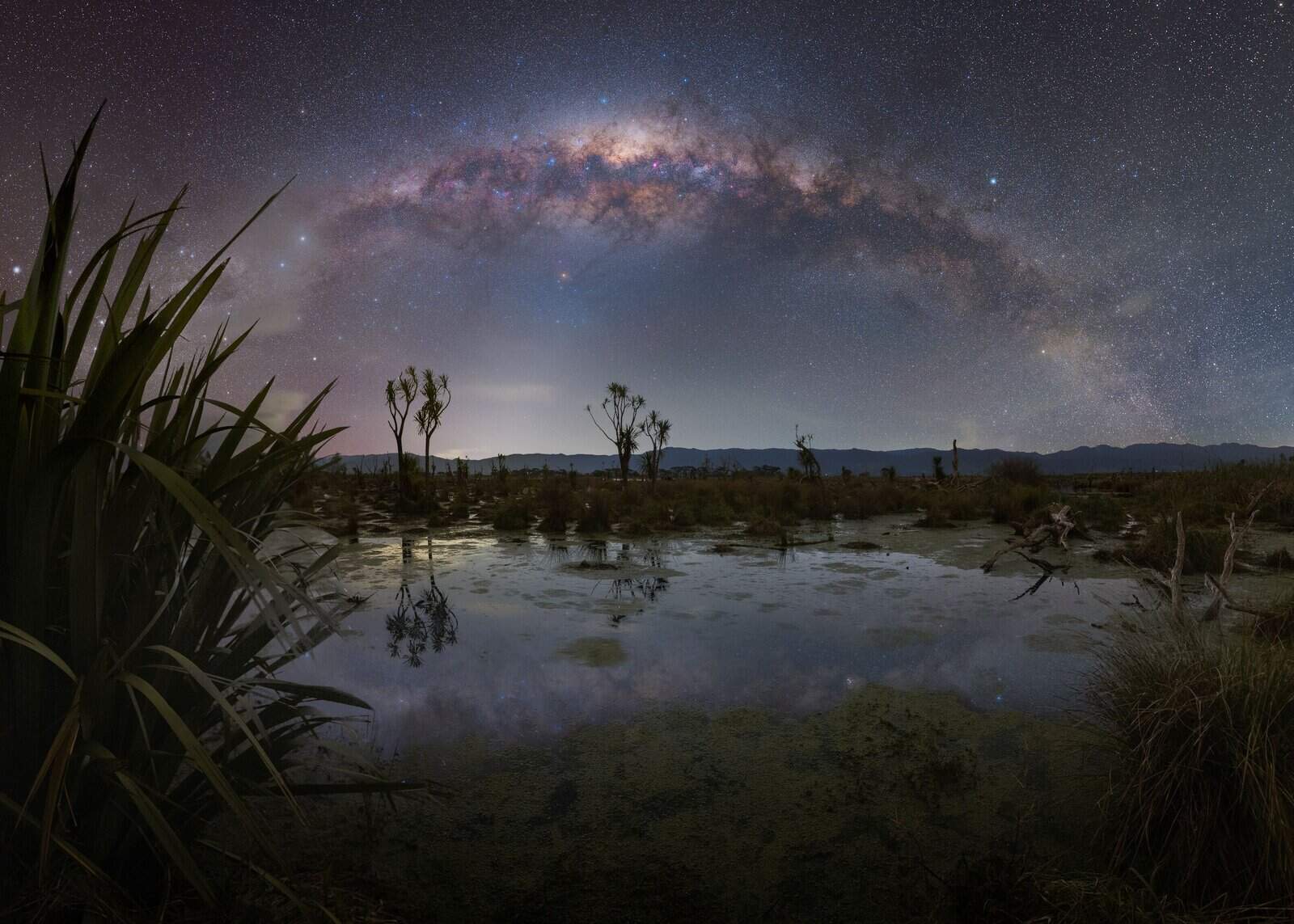 Boggy Pond, Night & Light Photography. Courtesy: Wairarapa Dark Sky Reserve