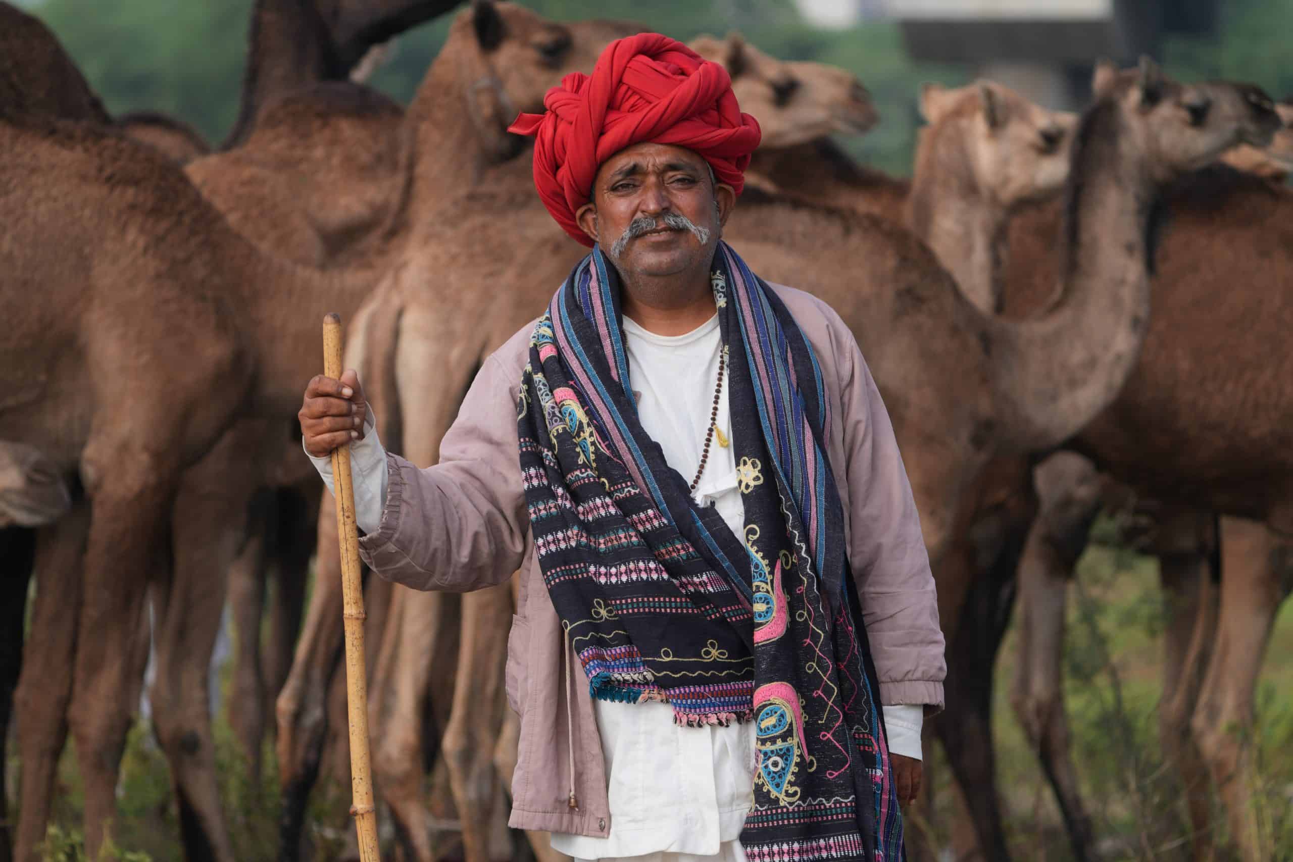 Chandrabhaga Cattle Fair