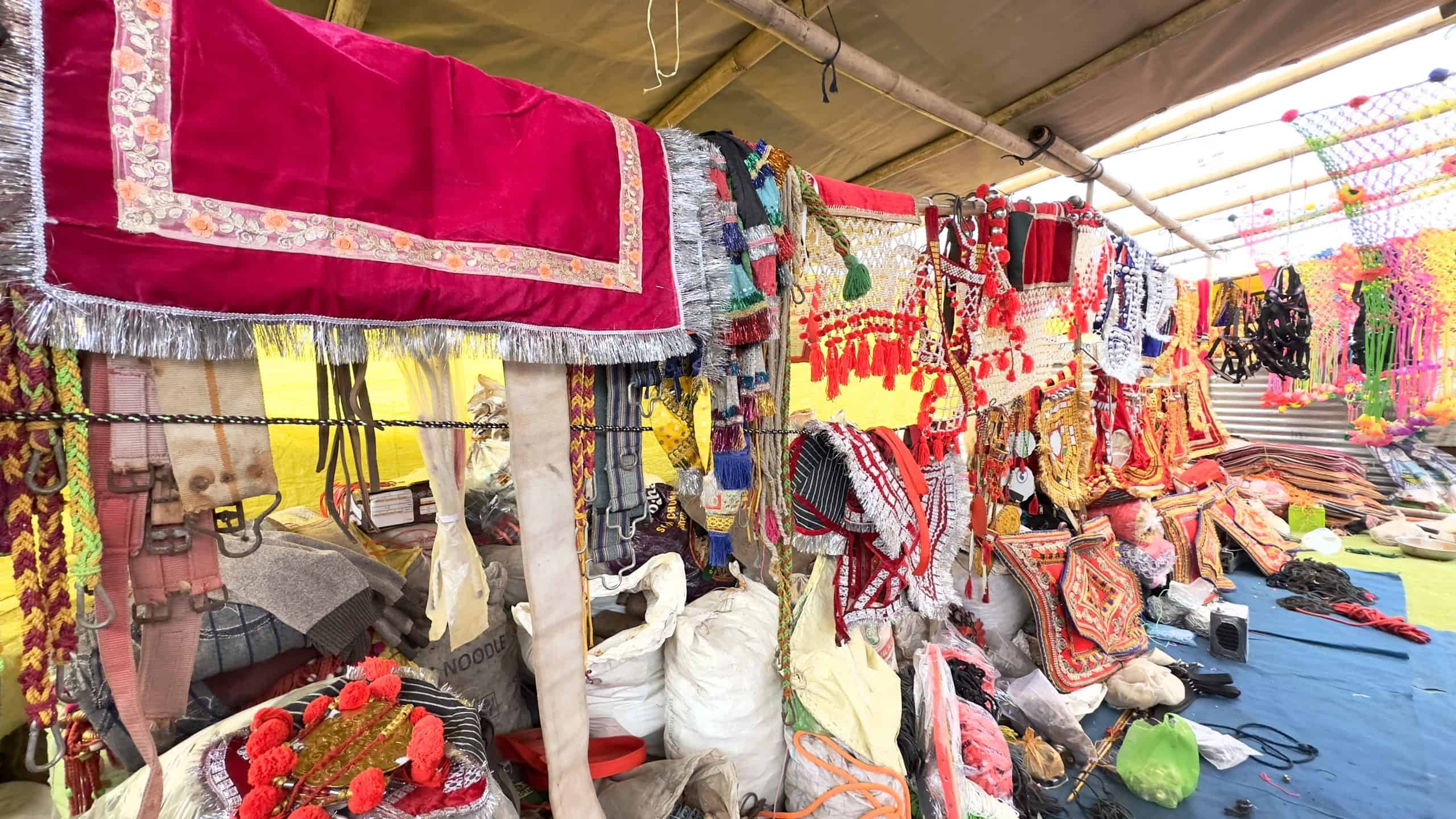 Chandrabhaga Cattle Fair