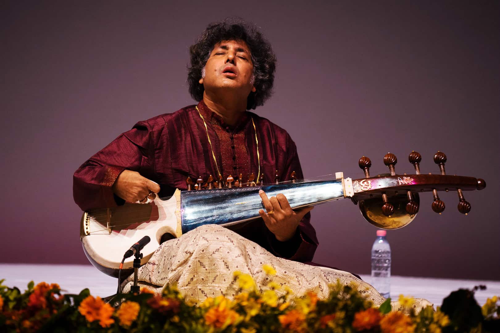 Partho Sarothy. Image Courtesy: Ana312727, Wikimedia Commons
