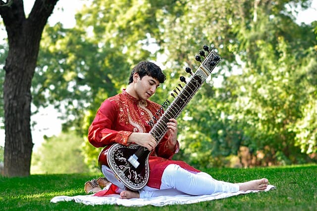 Classical Musician Rishab Sharma playing sitar. Image courtesy:  Radhika La via Wikimedia Commons