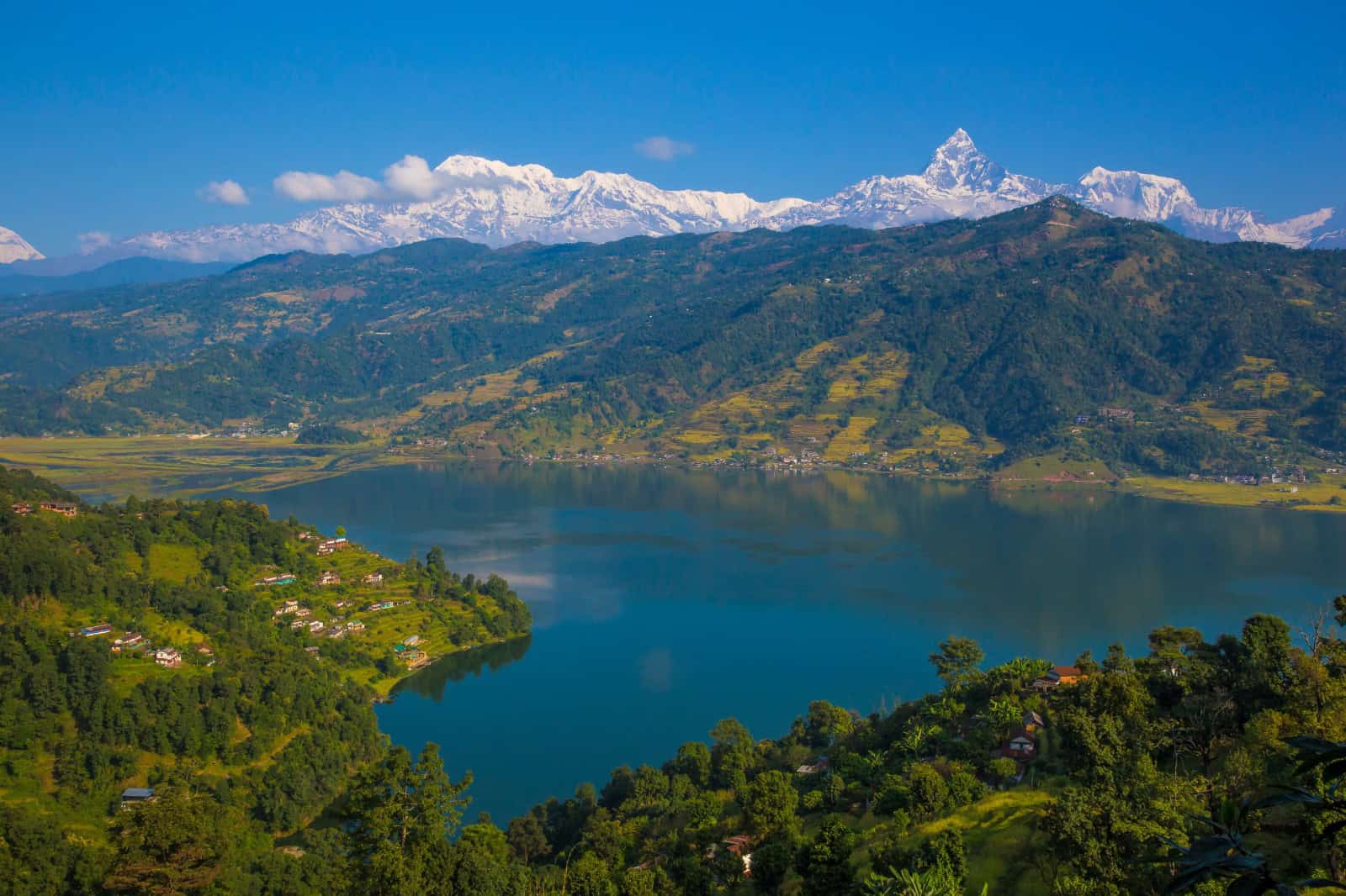 Phewa Lake,  in Aannapoorna Conservation Area. Image Courtesy: Jmhullot via Wikimedia Commons