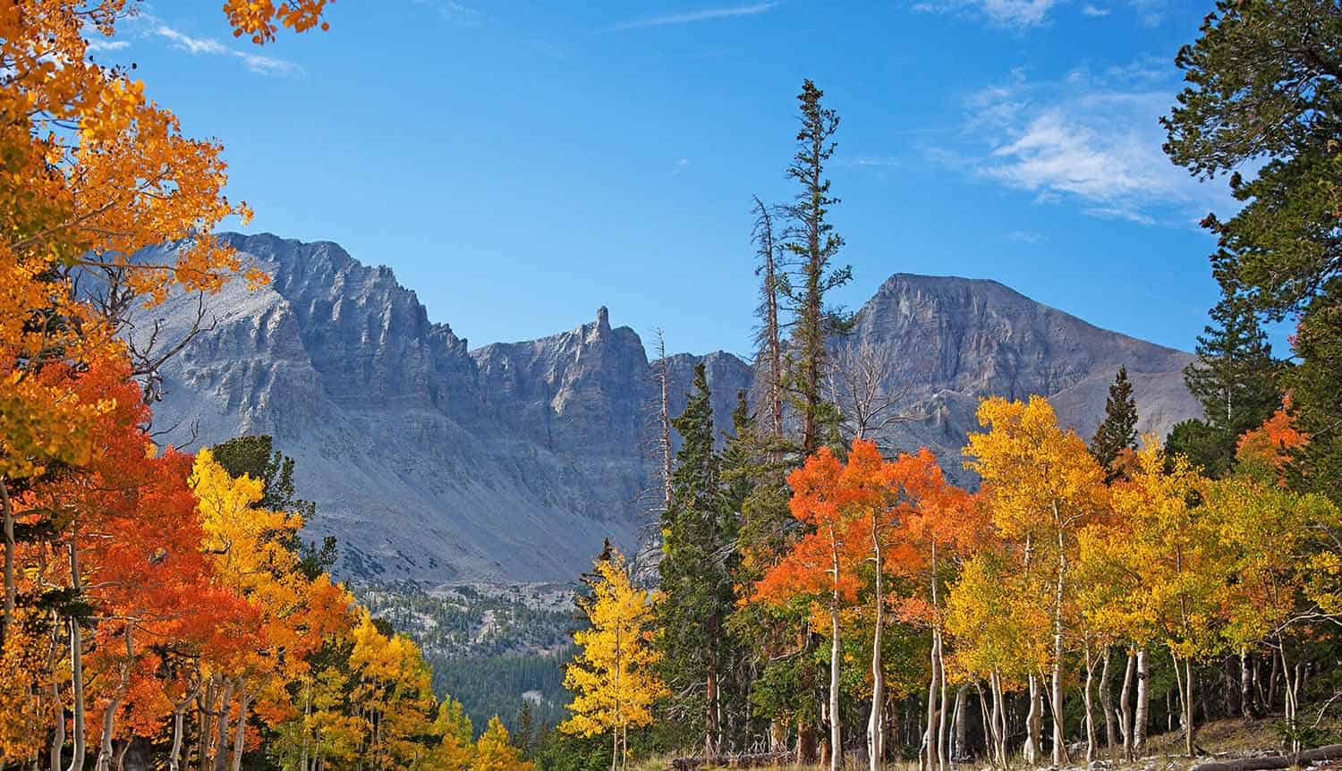 Great Basin National Park, Nevada. Image courtesy: Travel Nevada