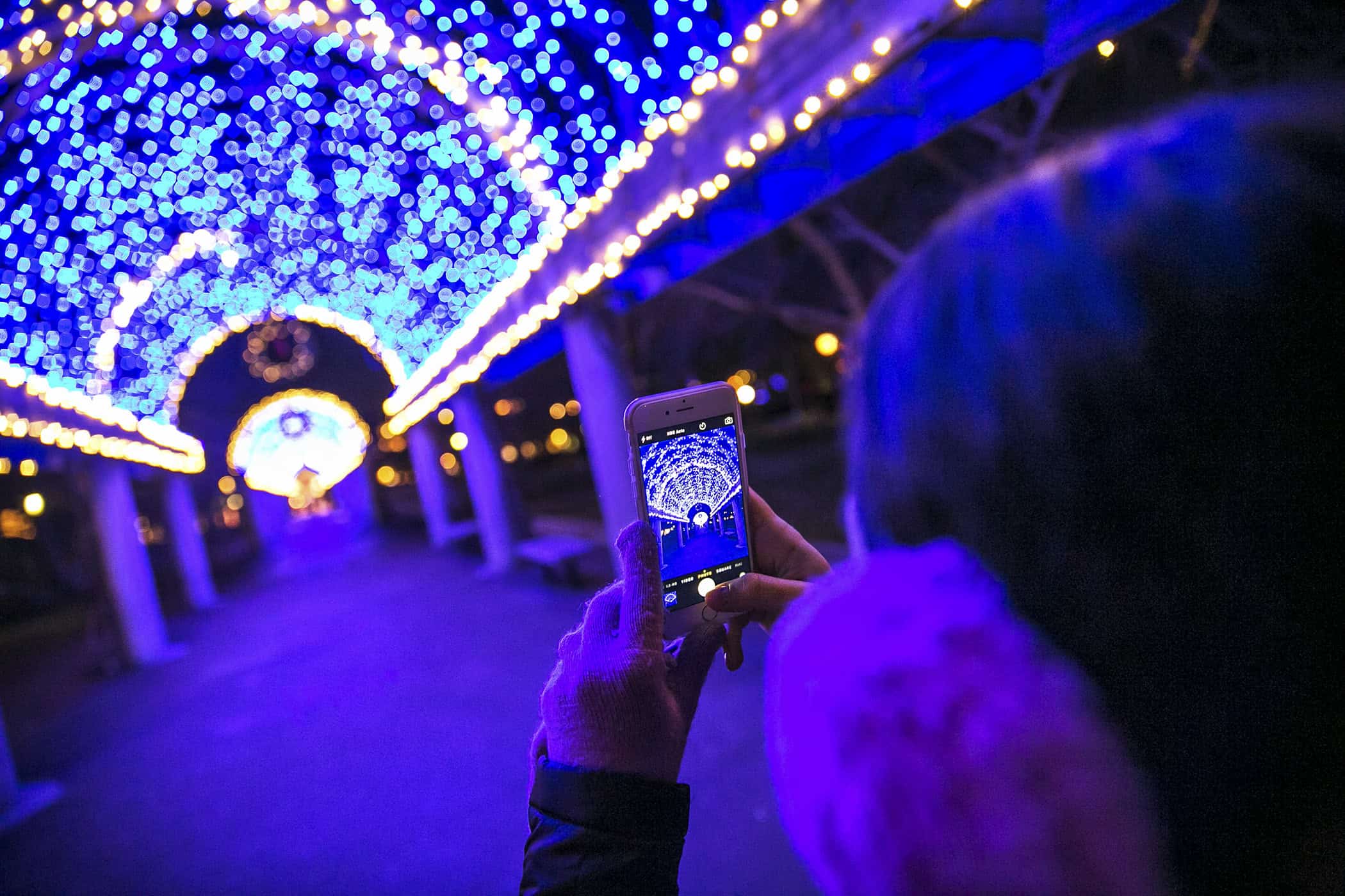 Boston events glow after dark with dazzling light displays, immersive installations, and picture-perfect festive moments across the city.