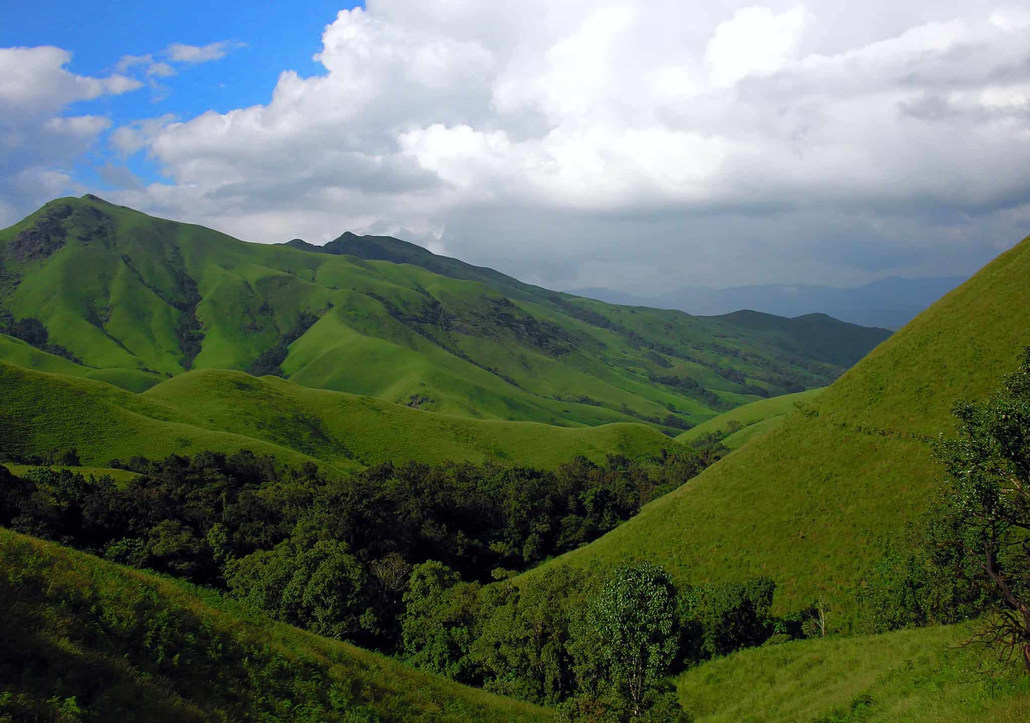 Kudremukh Valley. Image courtesy: Karnata Forest Department via Wikimedia Commons
